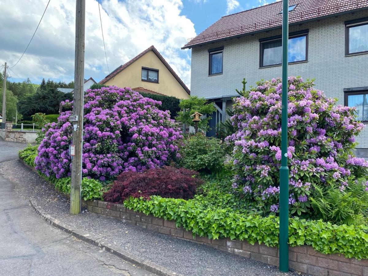 Apartment In Waltershausen Esterno foto